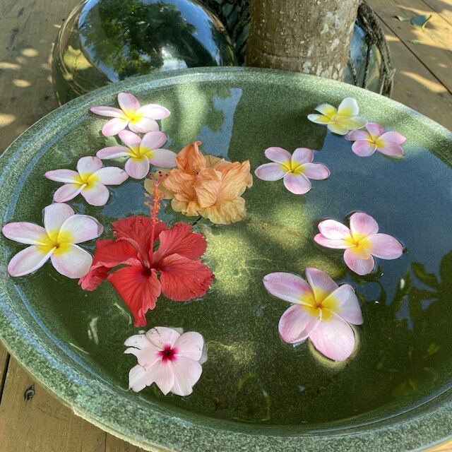 はりはりはうす