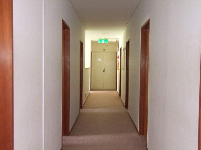 河口湖 ペンション ウッドストック