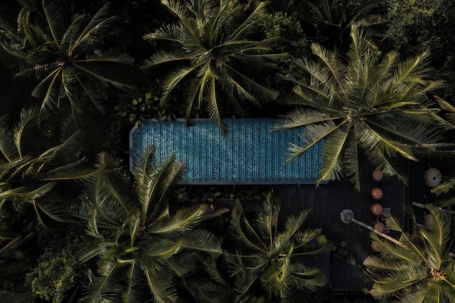 カペラ ウブド バリ