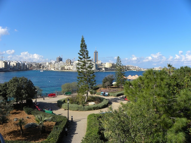 マルティーズ ルームズ