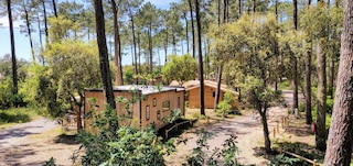 グリーン リゾート