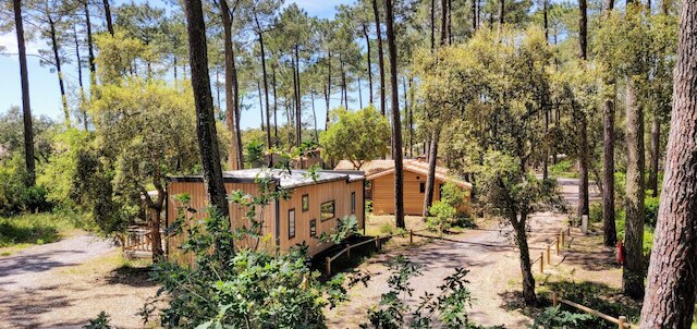 グリーン リゾート