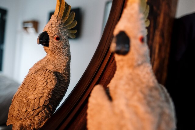 オーウェン ハウス ファーム