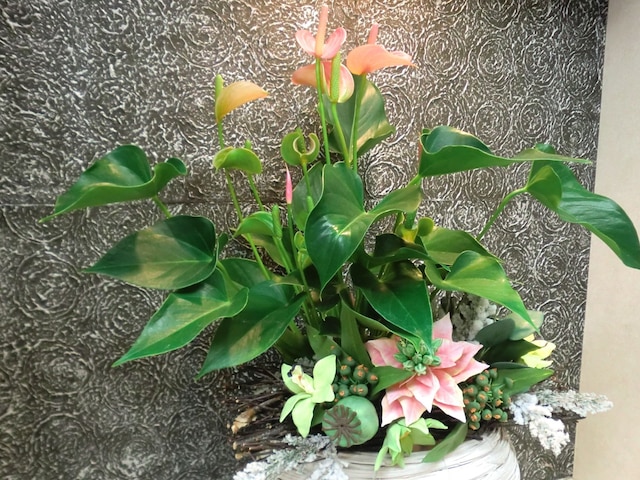 ホテルサニー志賀