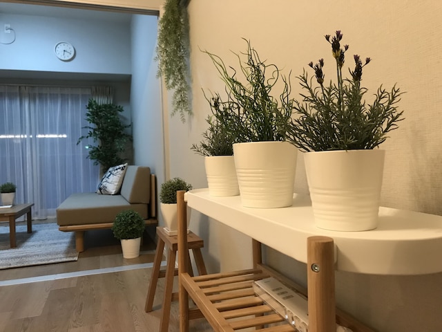 フォレステイ心斎橋