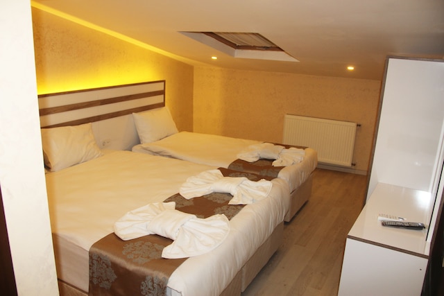 テオディアン ホテル