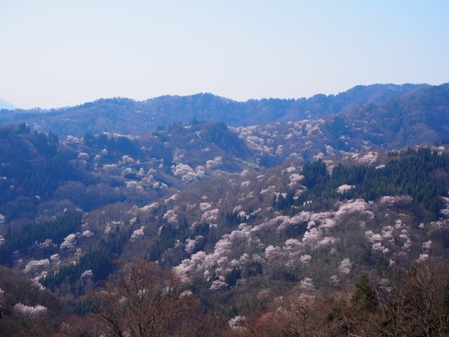 カナディアンログハウスの宿 安曇野遊人