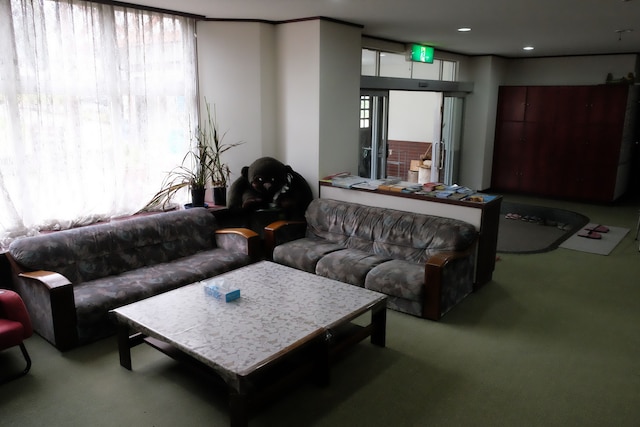 ヴィラ・グリーングラス