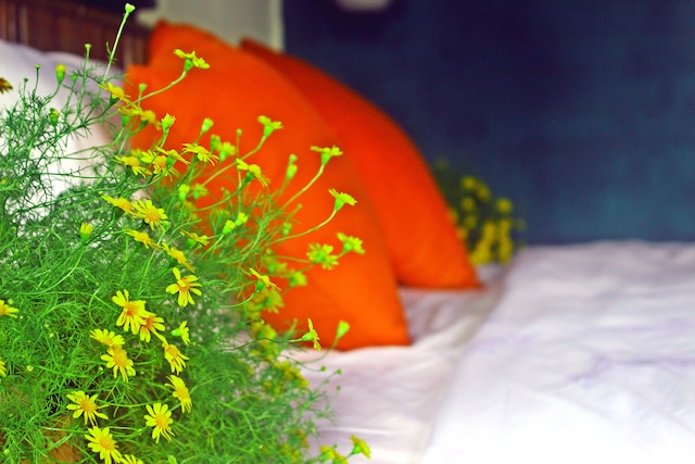 ホーム ファーム ヴィラ ホイアン