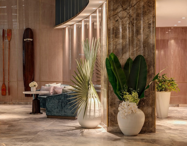 ザ ダーリング アット ザ スター ゴールド コースト