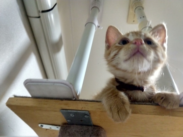 ゲストハウス アサヒカワライド