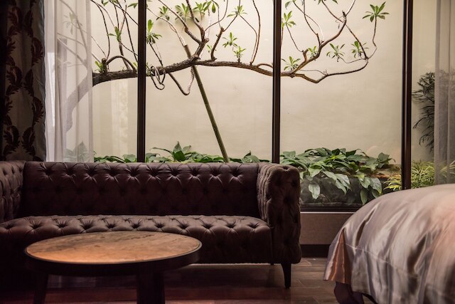 グリーン パーム