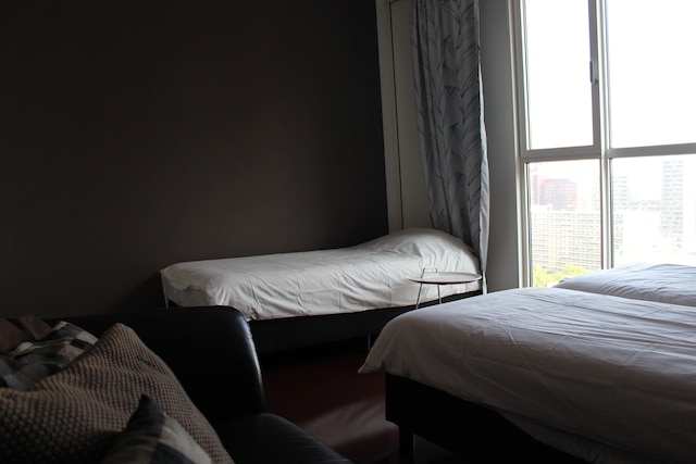 マイシティロフツ - カリプソ