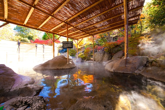 八面山金色温泉 こがね山荘