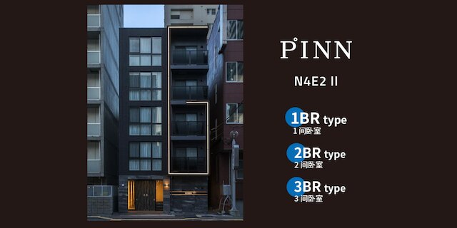 PINN-N4E2