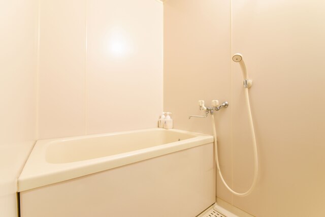 本陣の宿 柳の湯