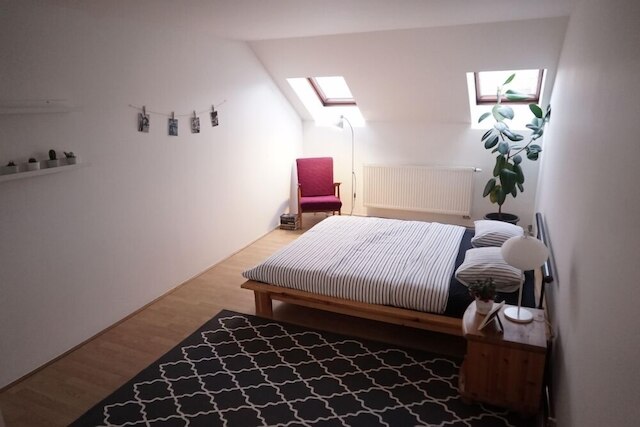 アティック フラット ウィズ アメージング テラス