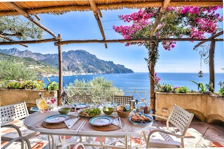 スター フィッシュ ハウス