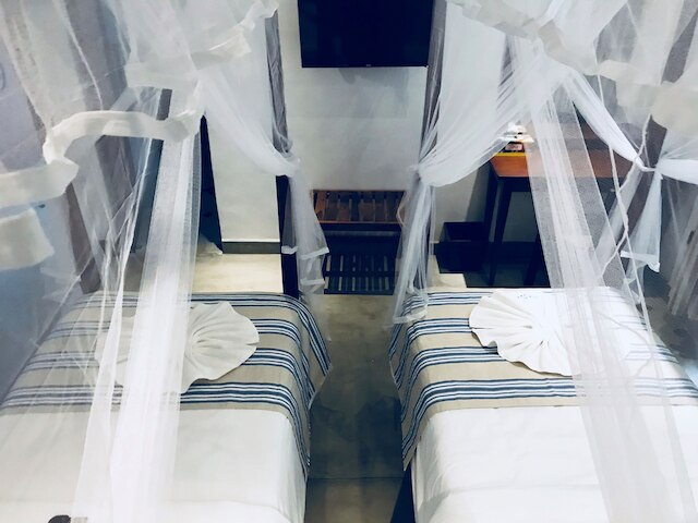 コーザ セイロン