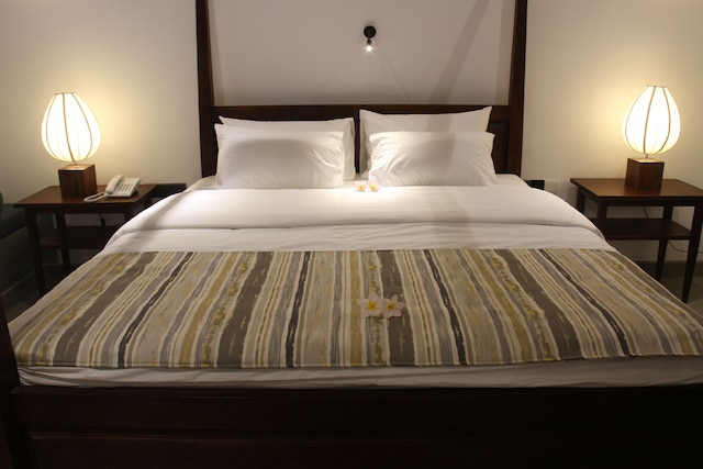 コーザ セイロン