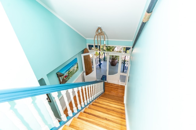 ビーチ ハウス ケアンズ