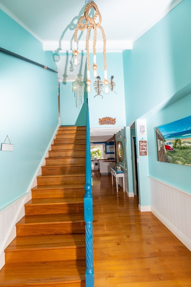 ビーチ ハウス ケアンズ