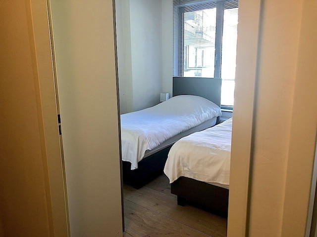 マイシティロフツ - メーント