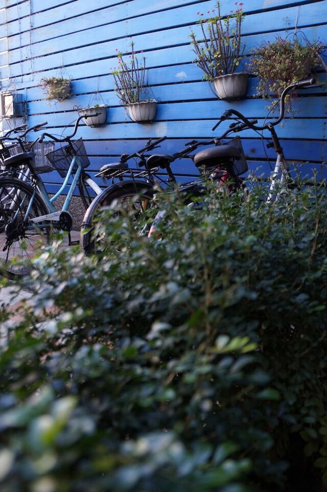 ラン タオ シャ ホームステイ