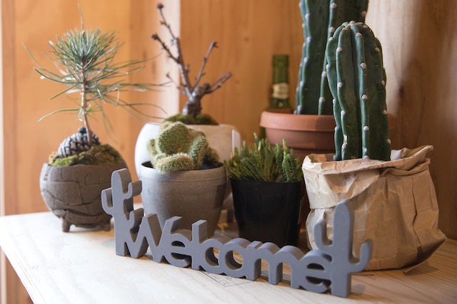 Vacation house Secretbase