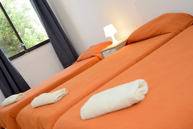 ホワイト スター