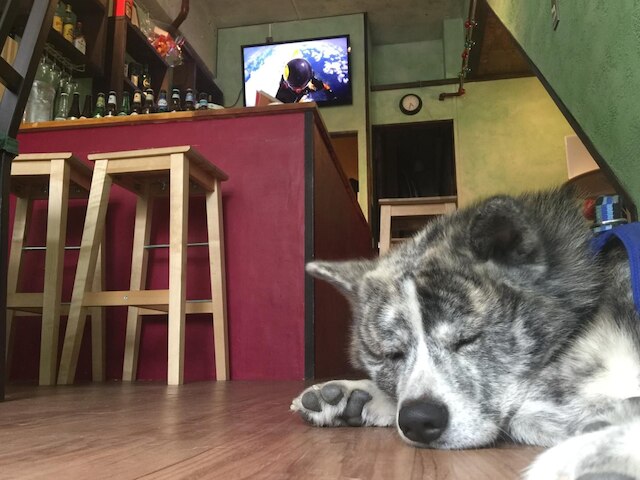 バックステージ 大阪 ホステル & バー