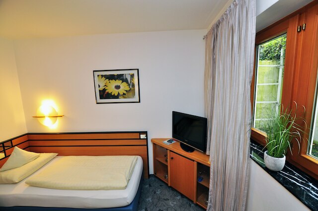 ホテル ヴィラ ヴァルトパーラッハ