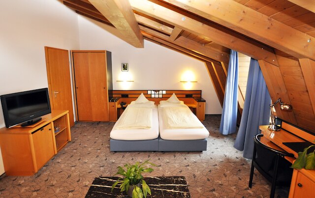 ホテル ヴィラ ヴァルトパーラッハ