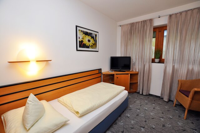 ホテル ヴィラ ヴァルトパーラッハ