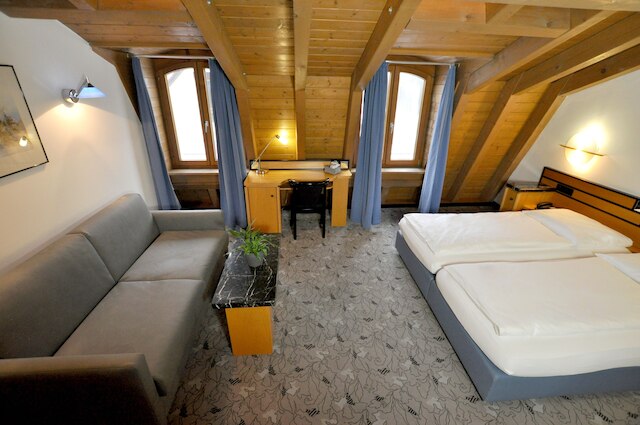 ホテル ヴィラ ヴァルトパーラッハ