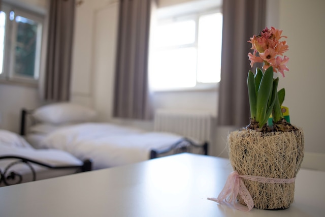 ツファニア ホテル