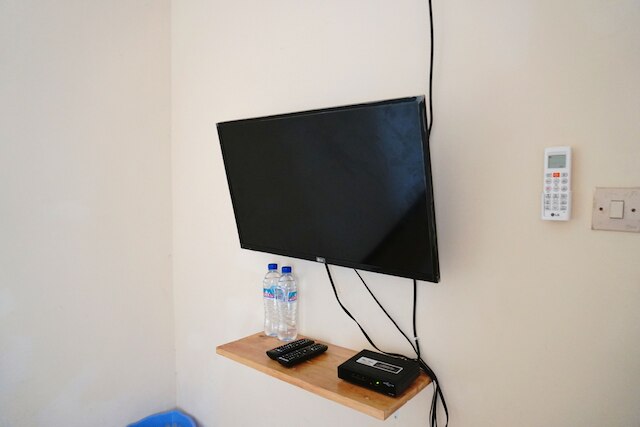 グリーン スラバヤ ホーミー