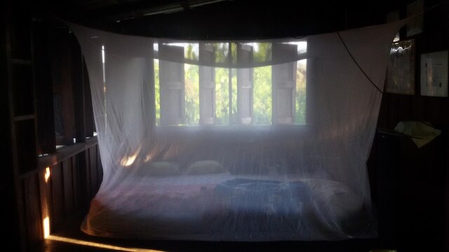 プタ ホームステイ