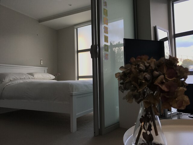 リーフィー ストリート アパートメント セントラル オークランド