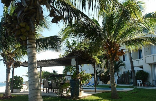 デパルタメント レンタス バカシオナレス カンクン 003