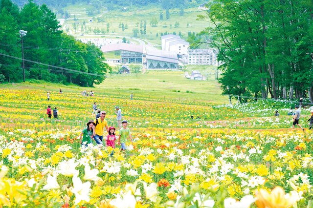 ホテルハーヴェスト 斑尾