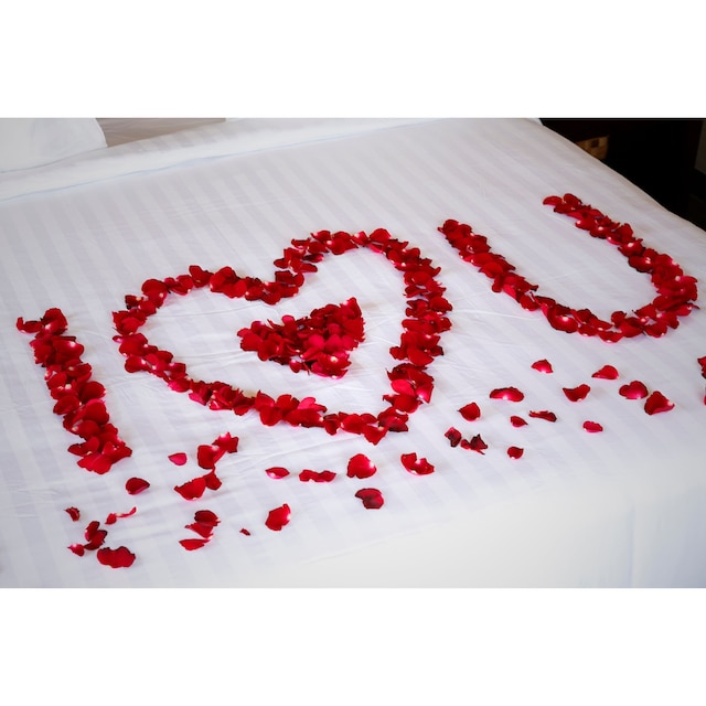 デル シエロ ヴィラ