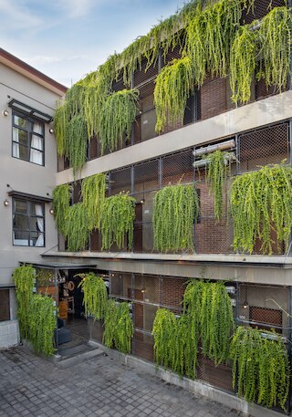 ザ アスワナ スミニャック