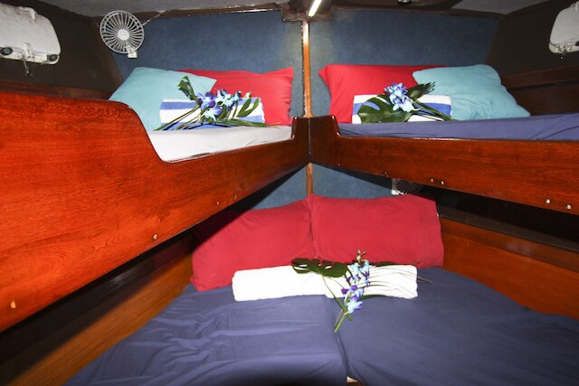 コーラル シー ドリーミング ダイブ アンド セイル