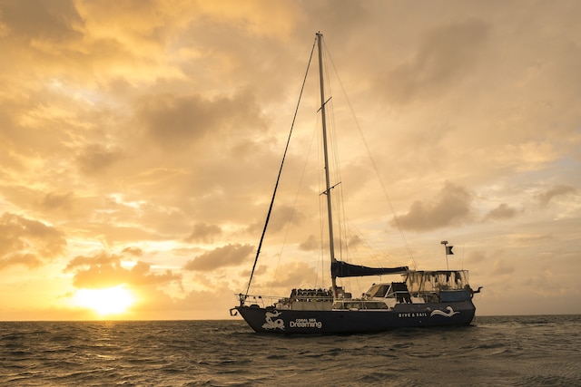 コーラル シー ドリーミング ダイブ アンド セイル