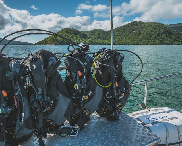 コーラル シー ドリーミング ダイブ アンド セイル