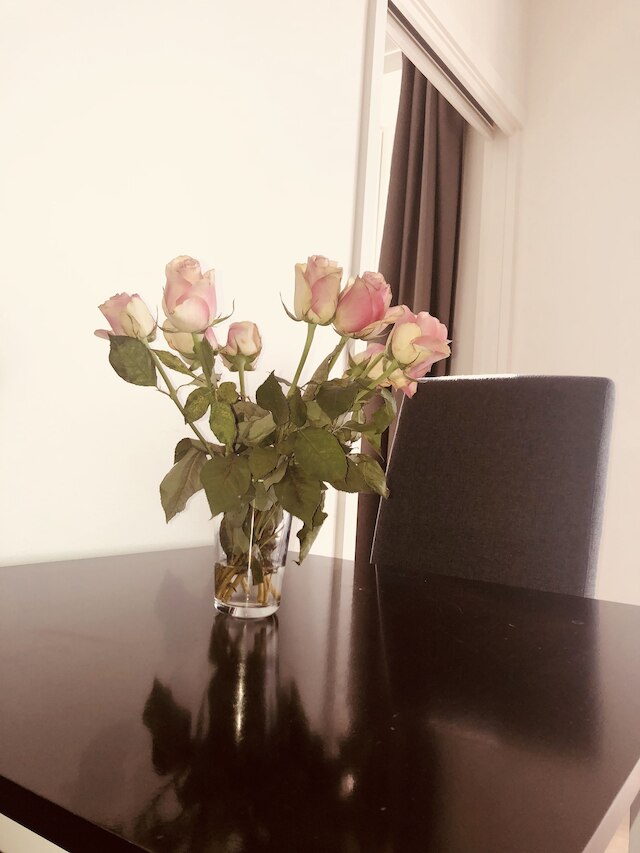 ソレンガ アパートメンツ