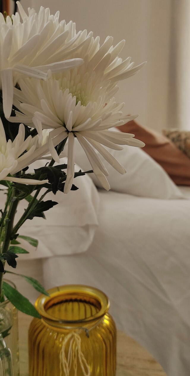 ルームズ ヴィタ & バー