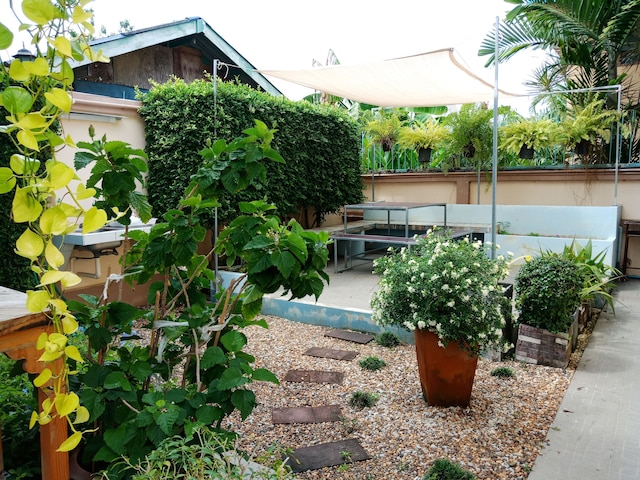 バーン ハイ バンサライ