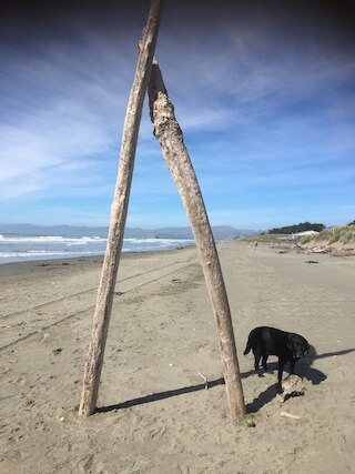 サンディ フィート アコモデーション